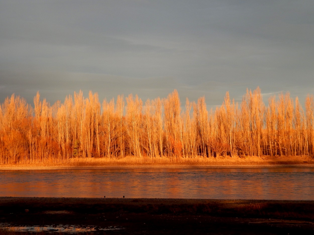 "Ahora, el Limay..." de Jos Luis Mansur