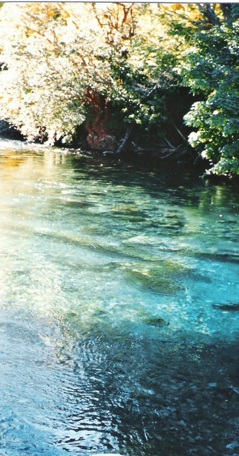 "rio correntoso" de Beatriz Di Marzio