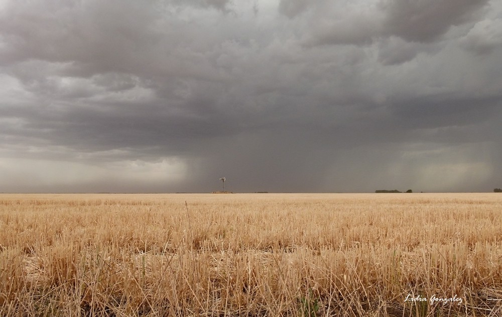 "La tormenta" de Lidia Gonzalez