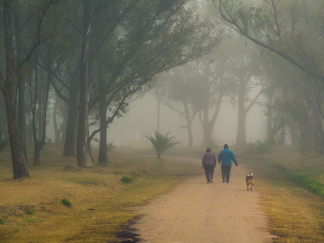 "Caminata con compaa" de Fernando Valdez Vazquez