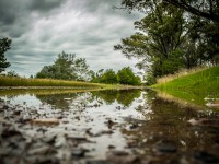 Reflejos de la lluvia