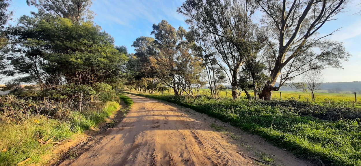 "Camino e`tierra" de Juan Carlos Viegas