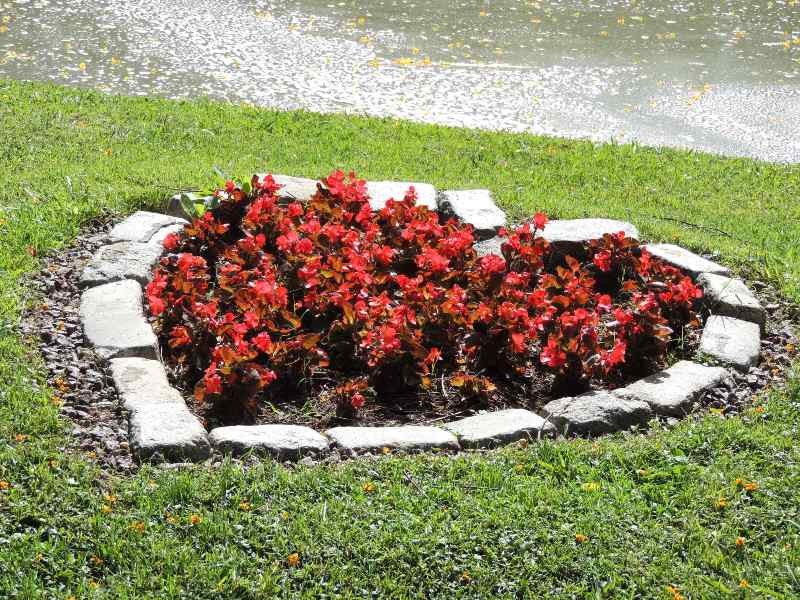 "corazon de flores" de Amparo Josefina Maggi