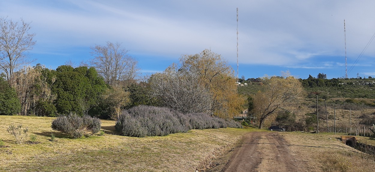 "Camino de las antenas" de Juan Carlos Viegas