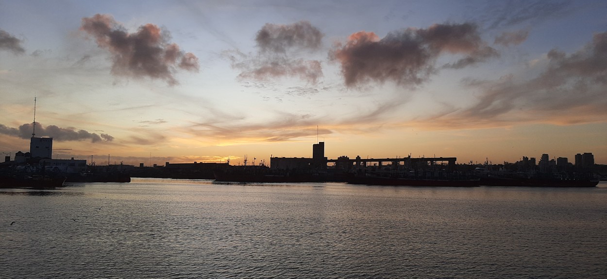 "Puerto de Mar del Plata" de Juan Carlos Viegas