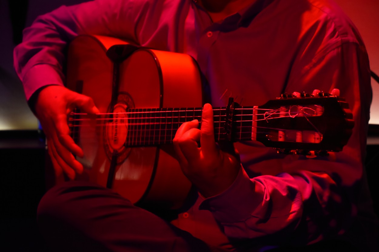 "Guitarra..." de Maria Isabel Hempe