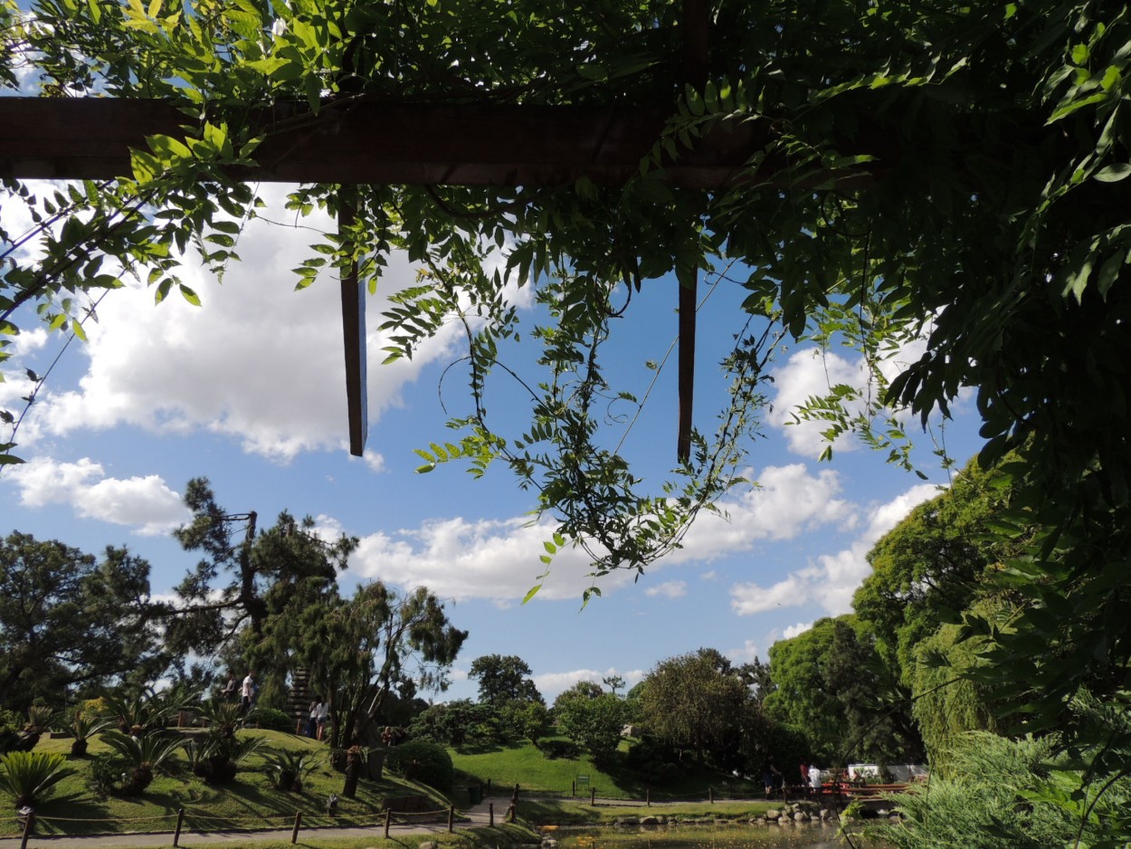 "cielo y tierra" de Amparo Josefina Maggi