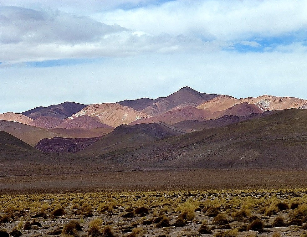 "Salta - Tolar Grande" de Delia Raquel Sakauskas