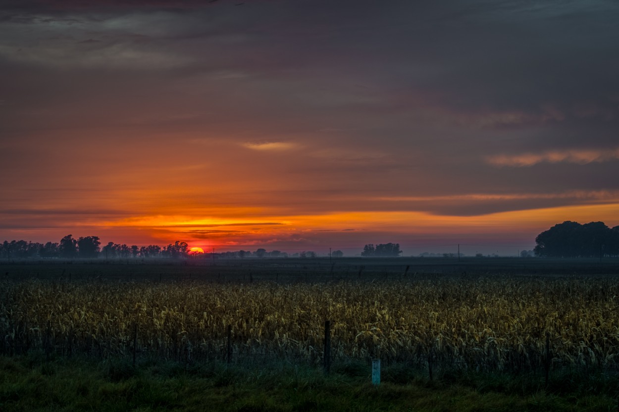 "Luces y sombras del amanecer" de Fernando Valdez Vazquez