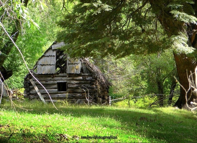 "La casa del bosque" de Ricardo Mximo Lopez Moral