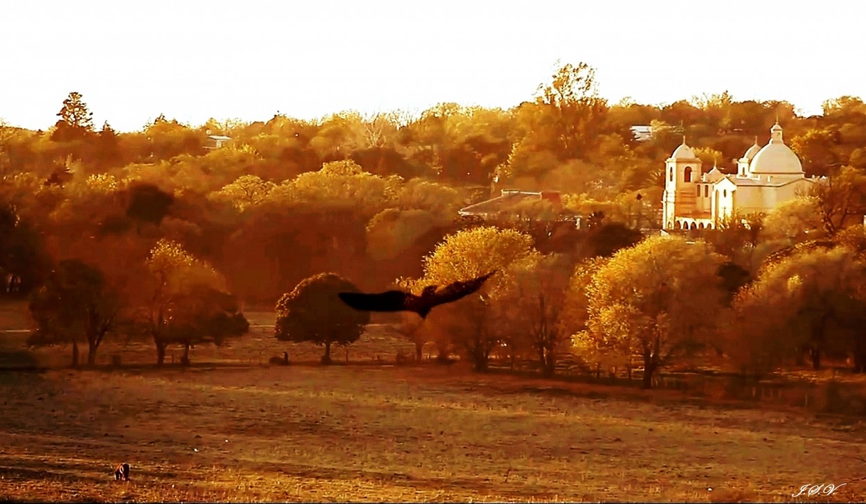 "El vuelo del ngel" de Jorge Vargas