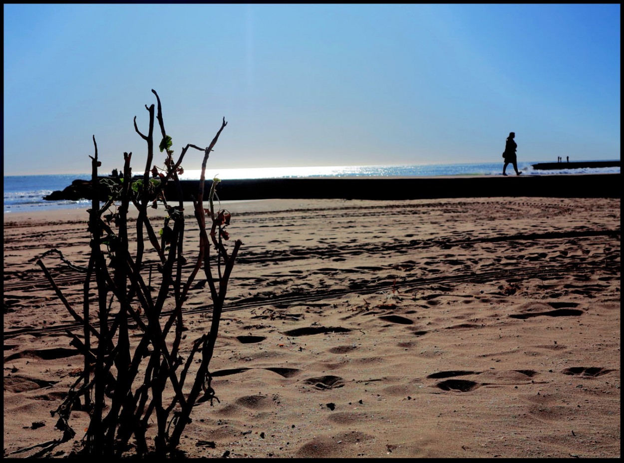 "Playa solitaria" de Jorge Vicente Molinari