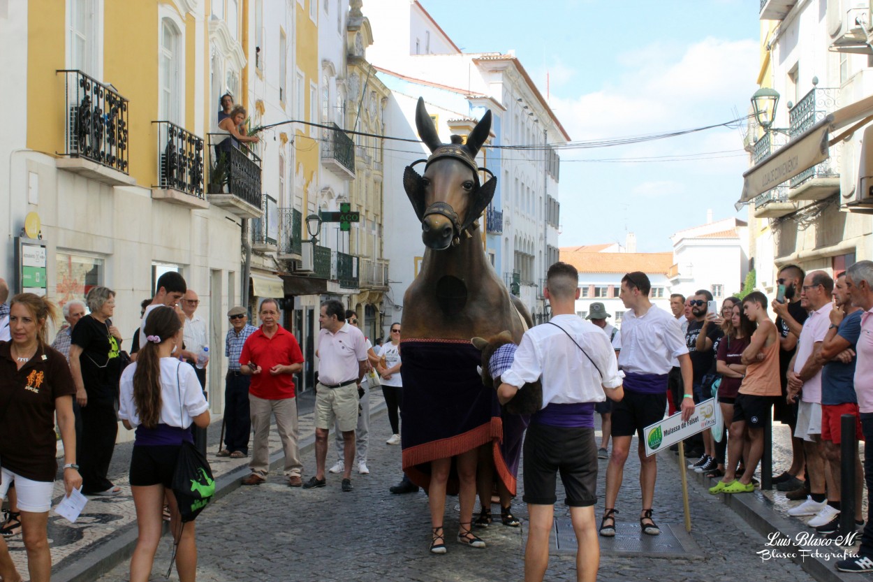 "Elvas, Portugal" de Luis Blasco Martin