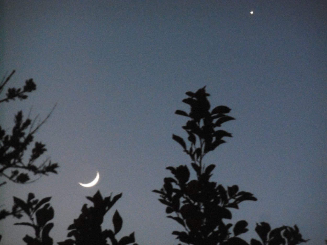 "Luna y Venus " de Miguel Angel Palermo