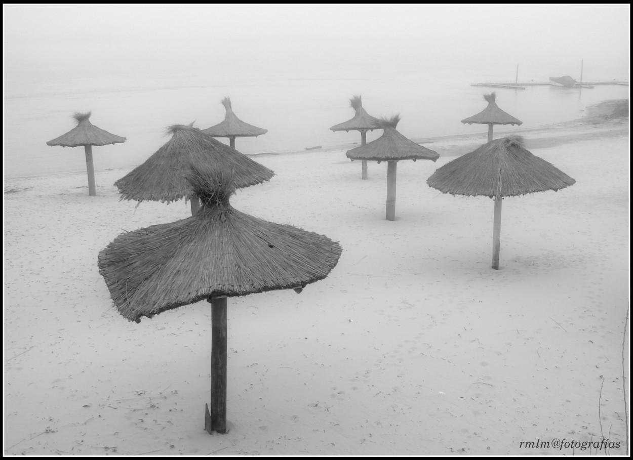 "Bailarinas en la niebla" de Ricardo Mximo Lopez Moral