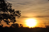 Atardece en el campo