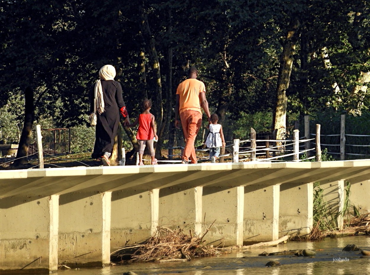 "THe FaMiLY" de Joana Sansalvador Roca