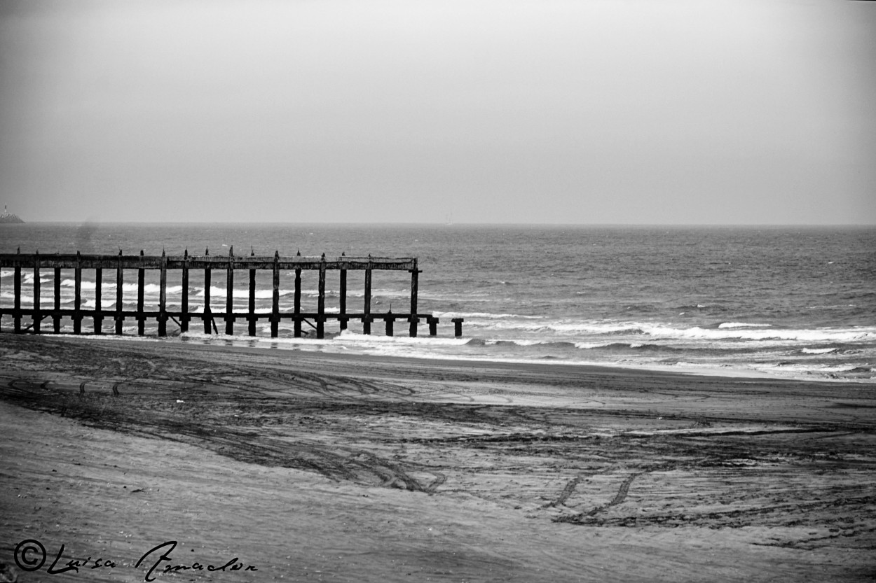 "Un Muelle" de Luisamaria Amador