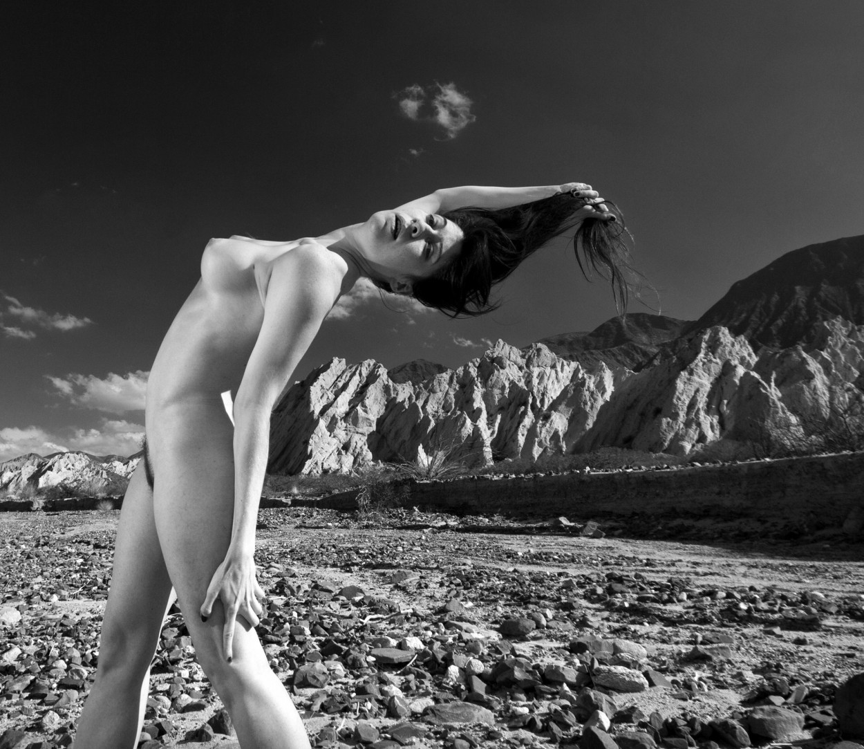 "Piel y piedra V" de Walter Belfiore