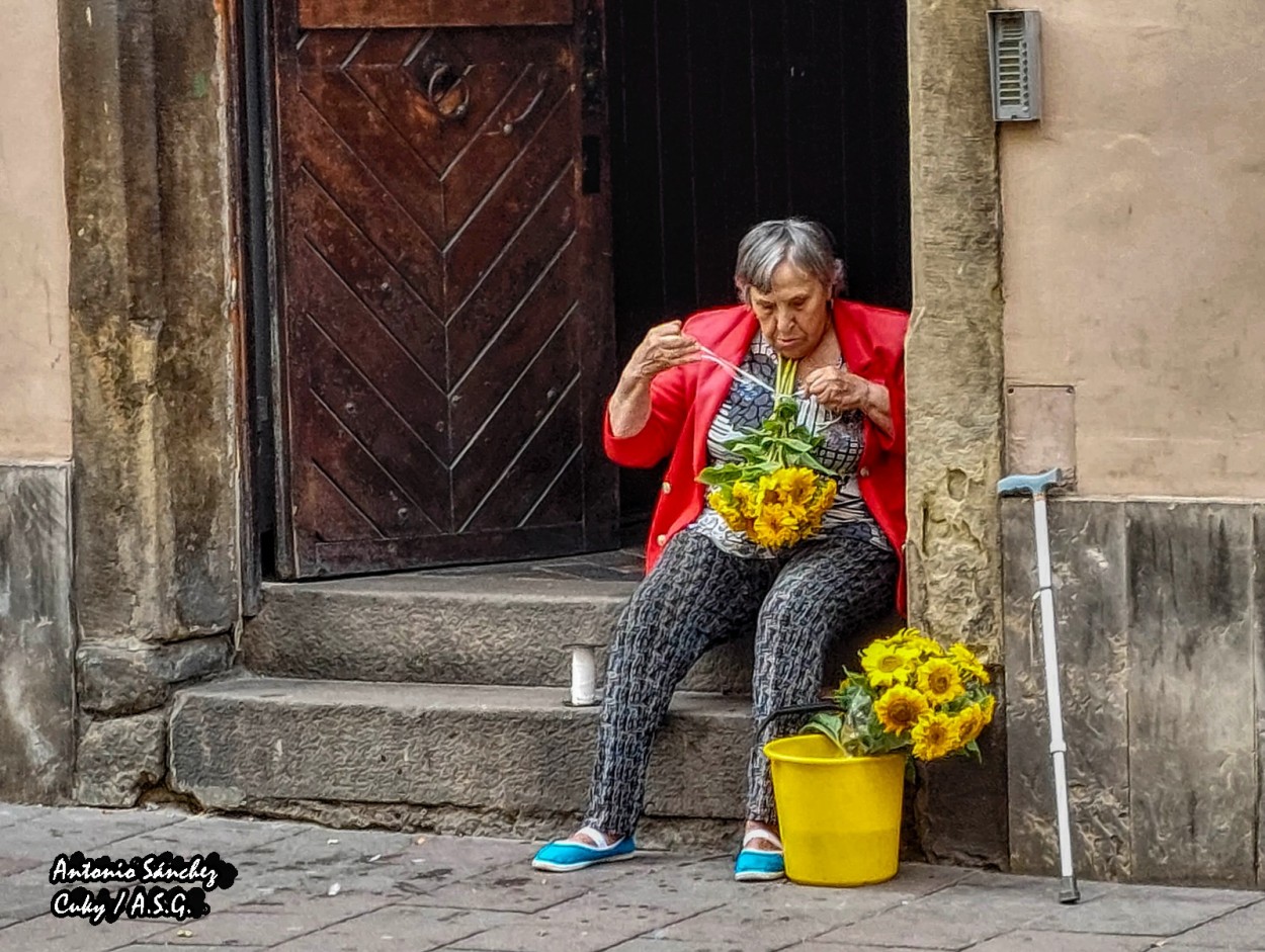 "**La Dama de los Girasoles**" de Antonio Snchez Gamas (cuky A. S. G. )