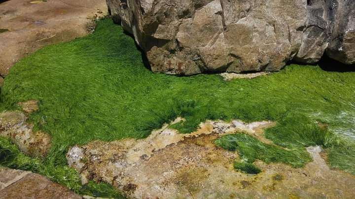 "Cuando baja la marea" de Juan Carlos Viegas