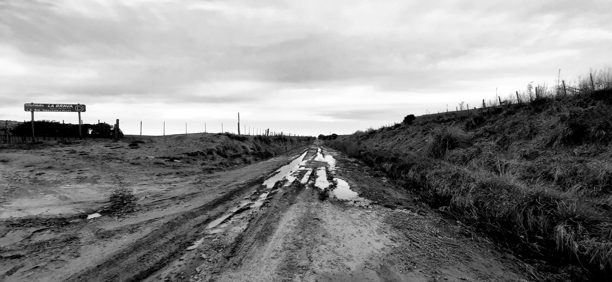 "Camino e`tierra" de Juan Carlos Viegas