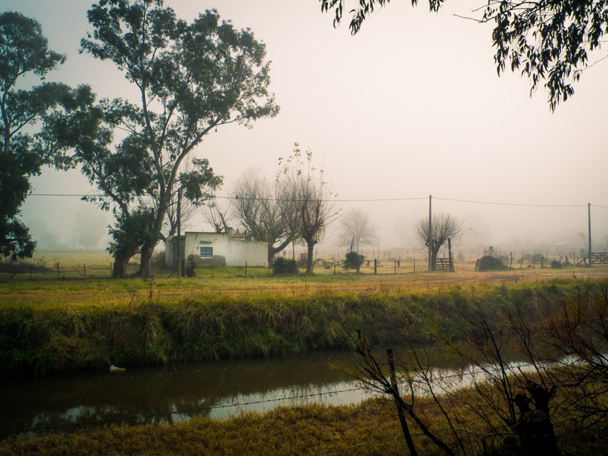 "Hmeda maana de niebla" de Fernando Valdez Vazquez