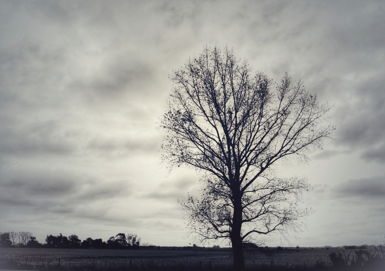 "Solitario..." de Maria Isabel Hempe