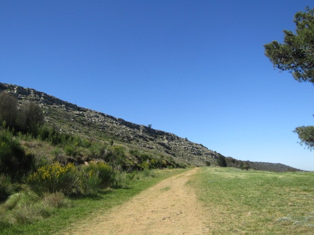 "Sendero" de Miguel Angel Palermo