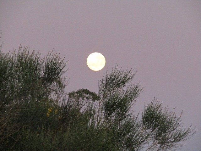 "Luna de dia" de Miguel Angel Palermo