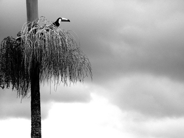 "Observando a forte chuva que est vindo......" de Decio Badari