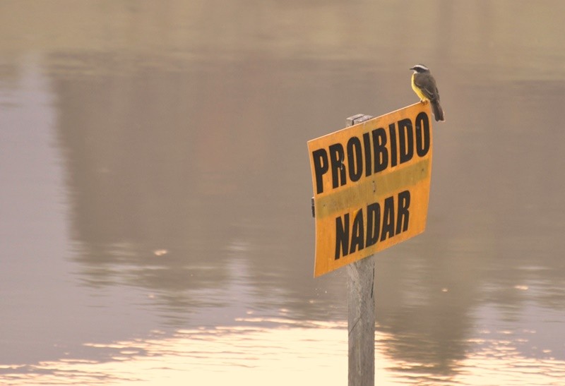 "O aviso est bem claro, favor obedecer....." de Decio Badari