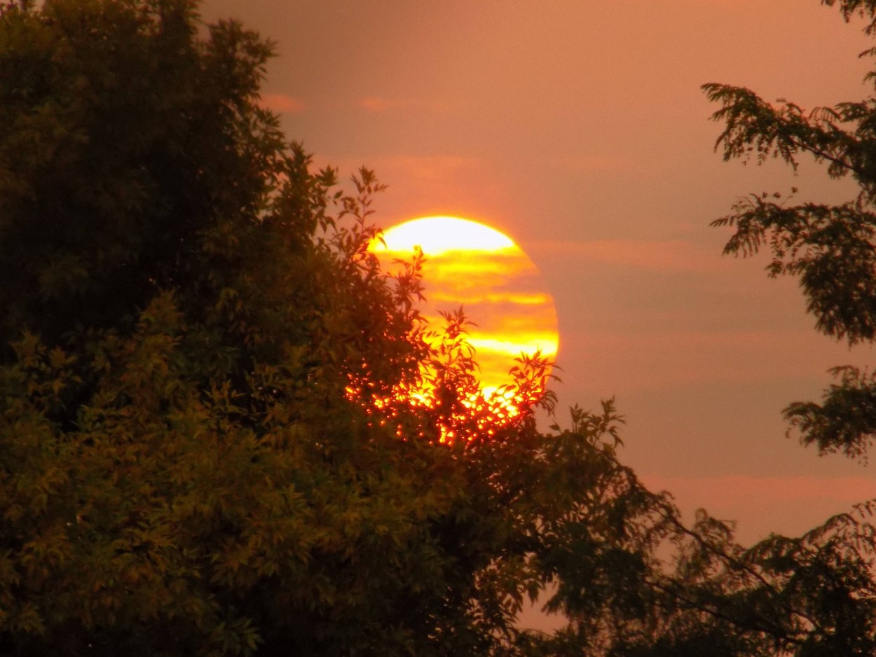 "Esos atardeceres" de Lidia Marence