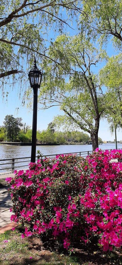 "Primavera en el Delta" de Juan Carlos Viegas