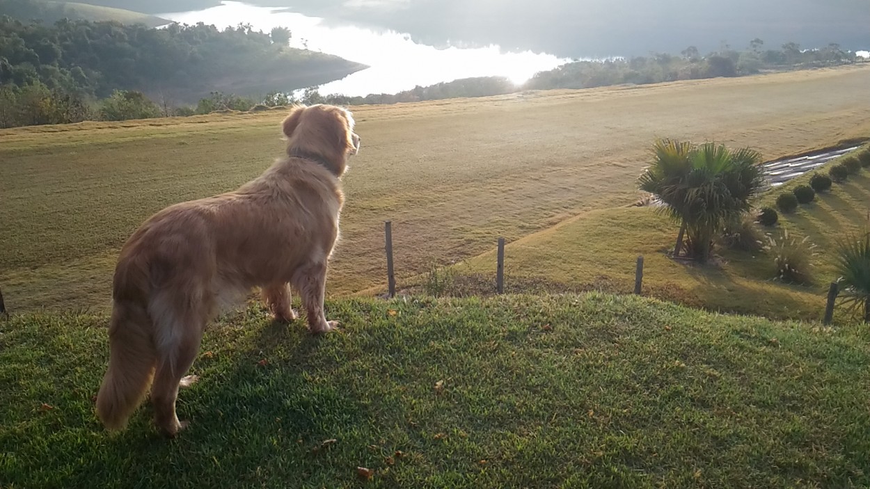 "Amanhecer no campo, mais um dia...." de Decio Badari