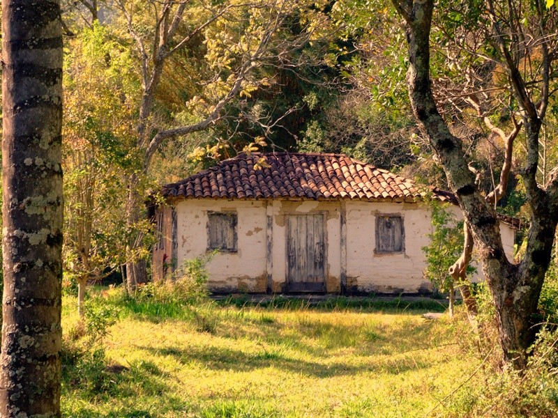 "Na Serra da Mantiqueira, pausa para esta foto....." de Decio Badari