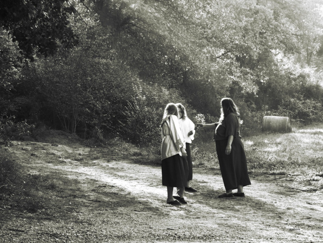 "SiSTeRS" de Joana Sansalvador Roca