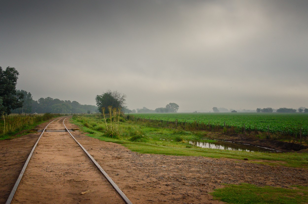 "La curva ferroviaria" de Fernando Valdez Vazquez