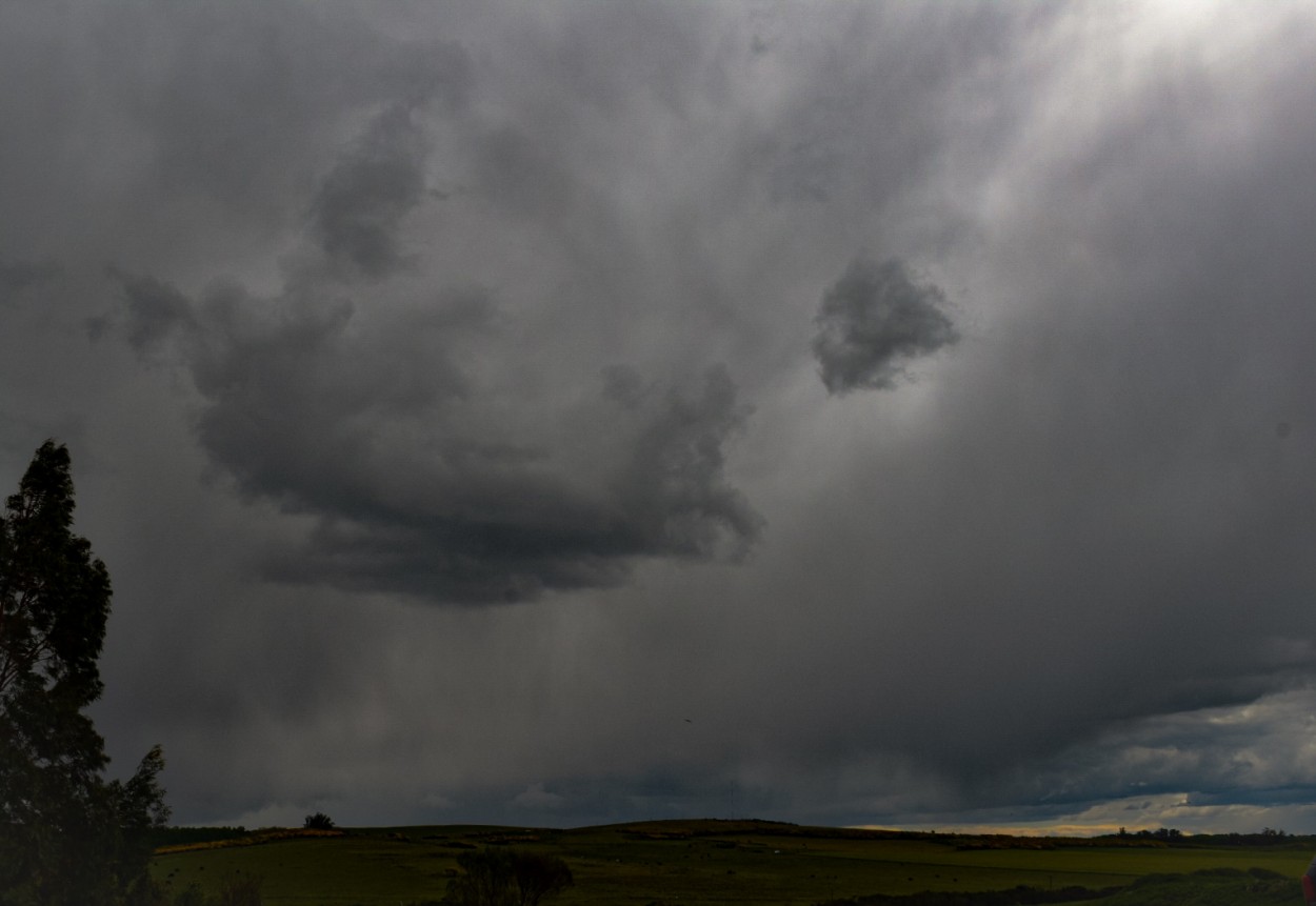 "Tormenta" de Silvana Magali Frank