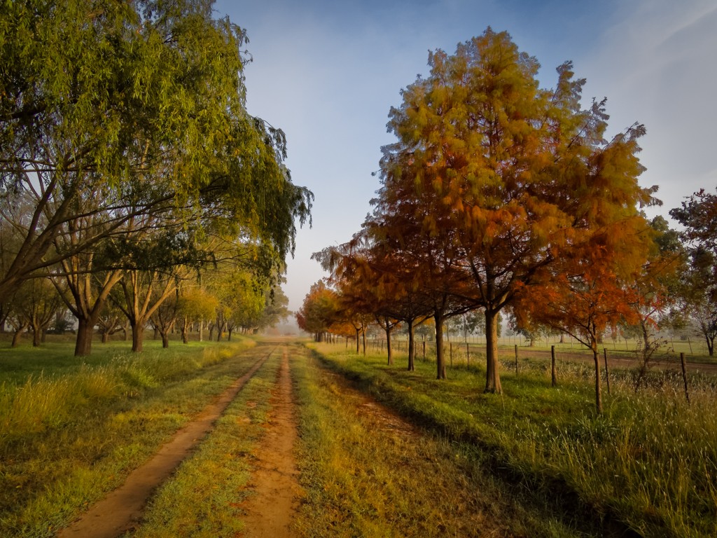 "Sendero colorido" de Fernando Valdez Vazquez