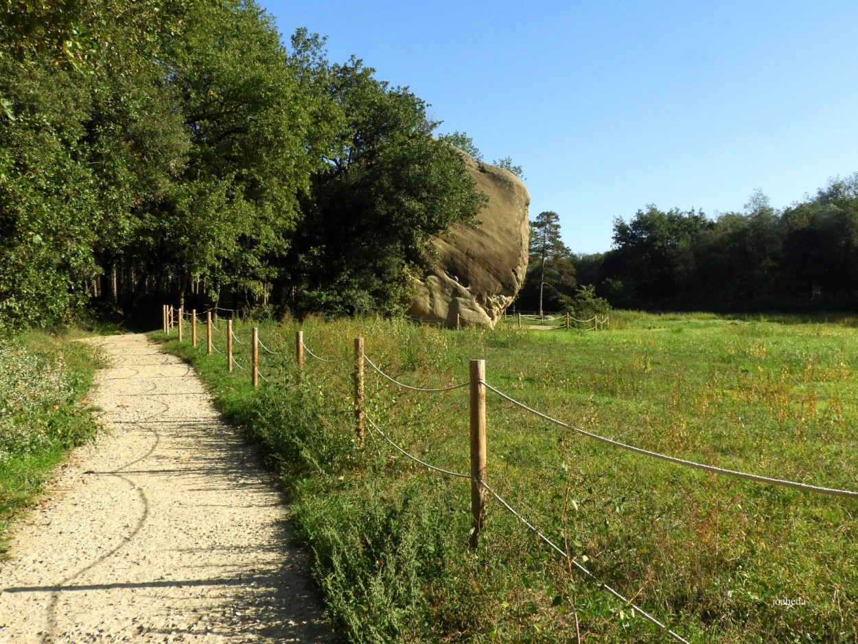 "UNa PieDRa en el CaMiNo" de Joana Sansalvador Roca