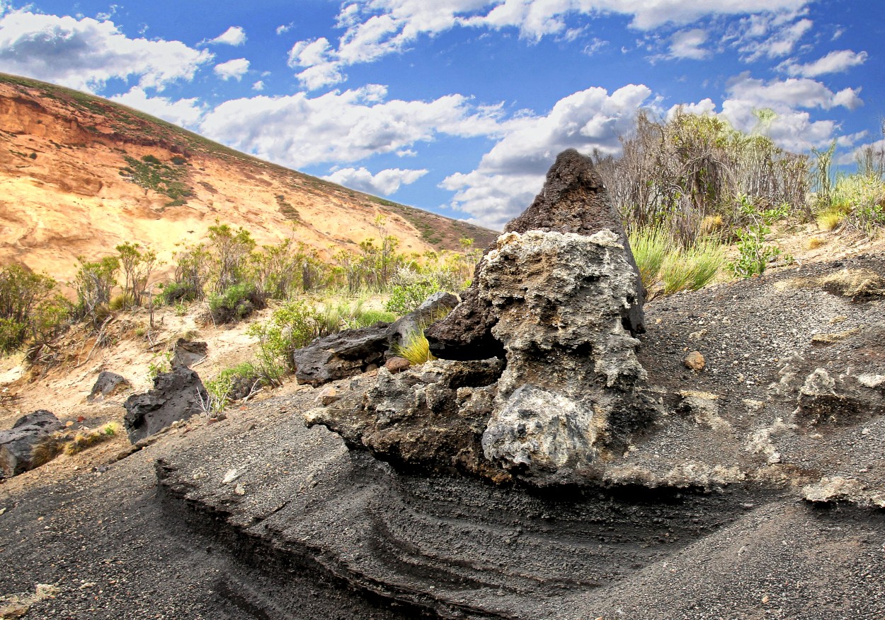 "La Piedra del Escndalo..." de Juan Carlos Barilari