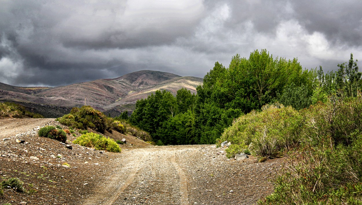 "Caminos de Malarge..." de Juan Carlos Barilari