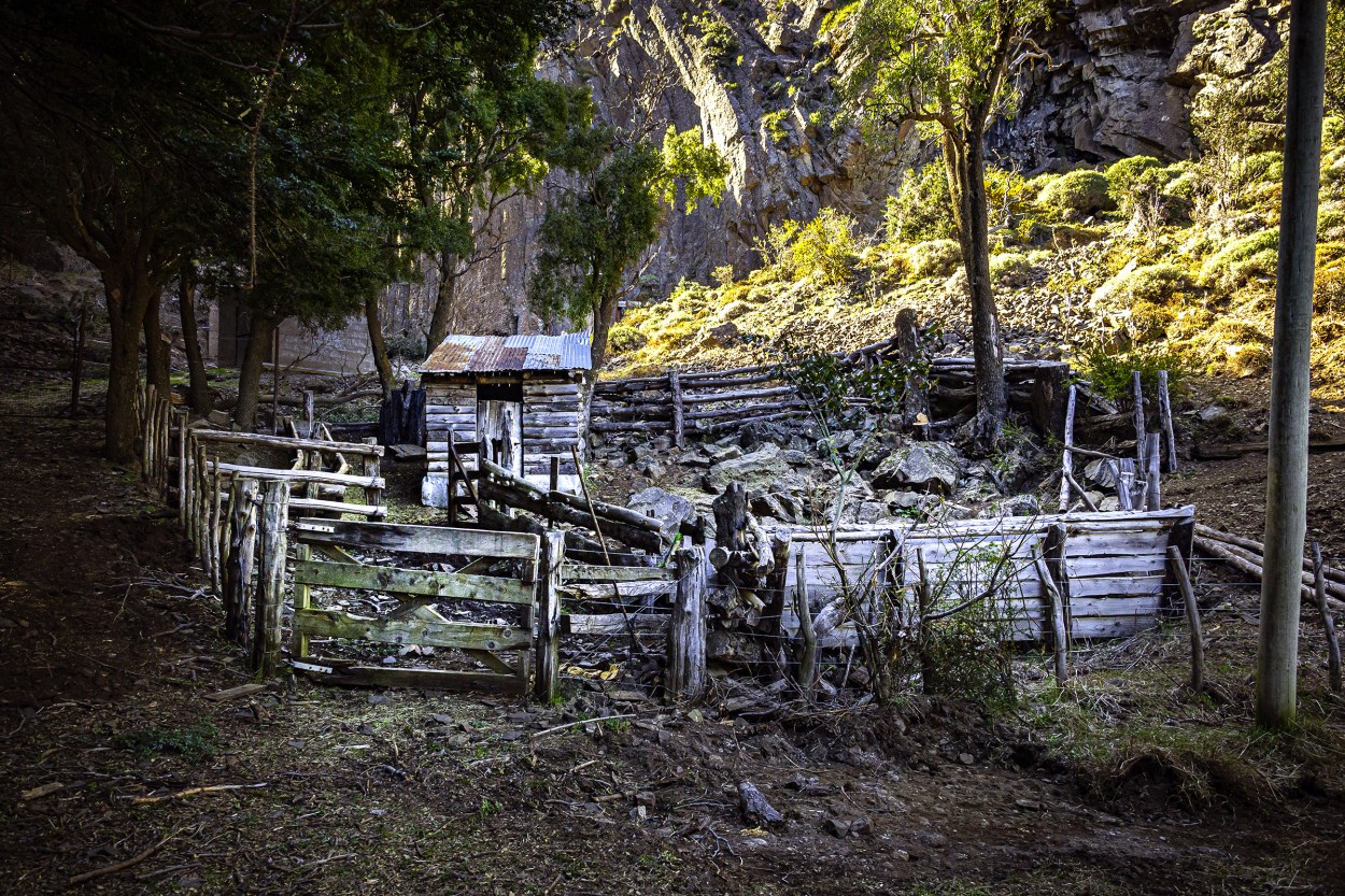 "Redil de montaa" de Carlos Cavalieri