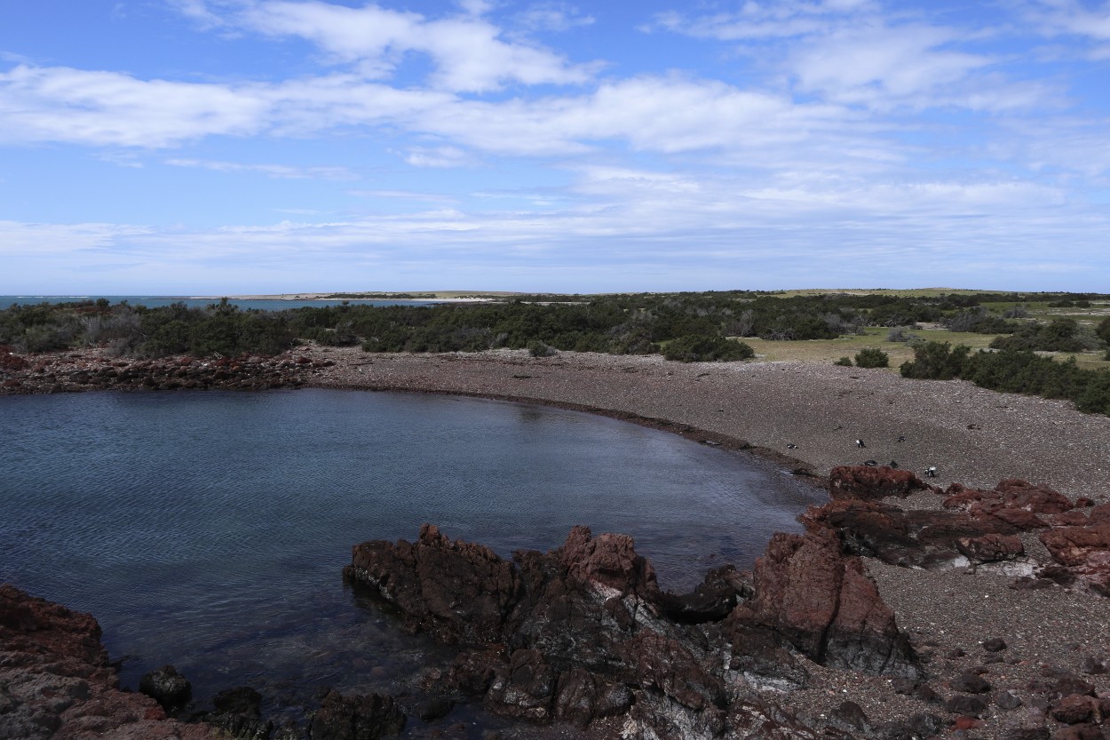 "Punta Tombo" de Natalia Harosteguy