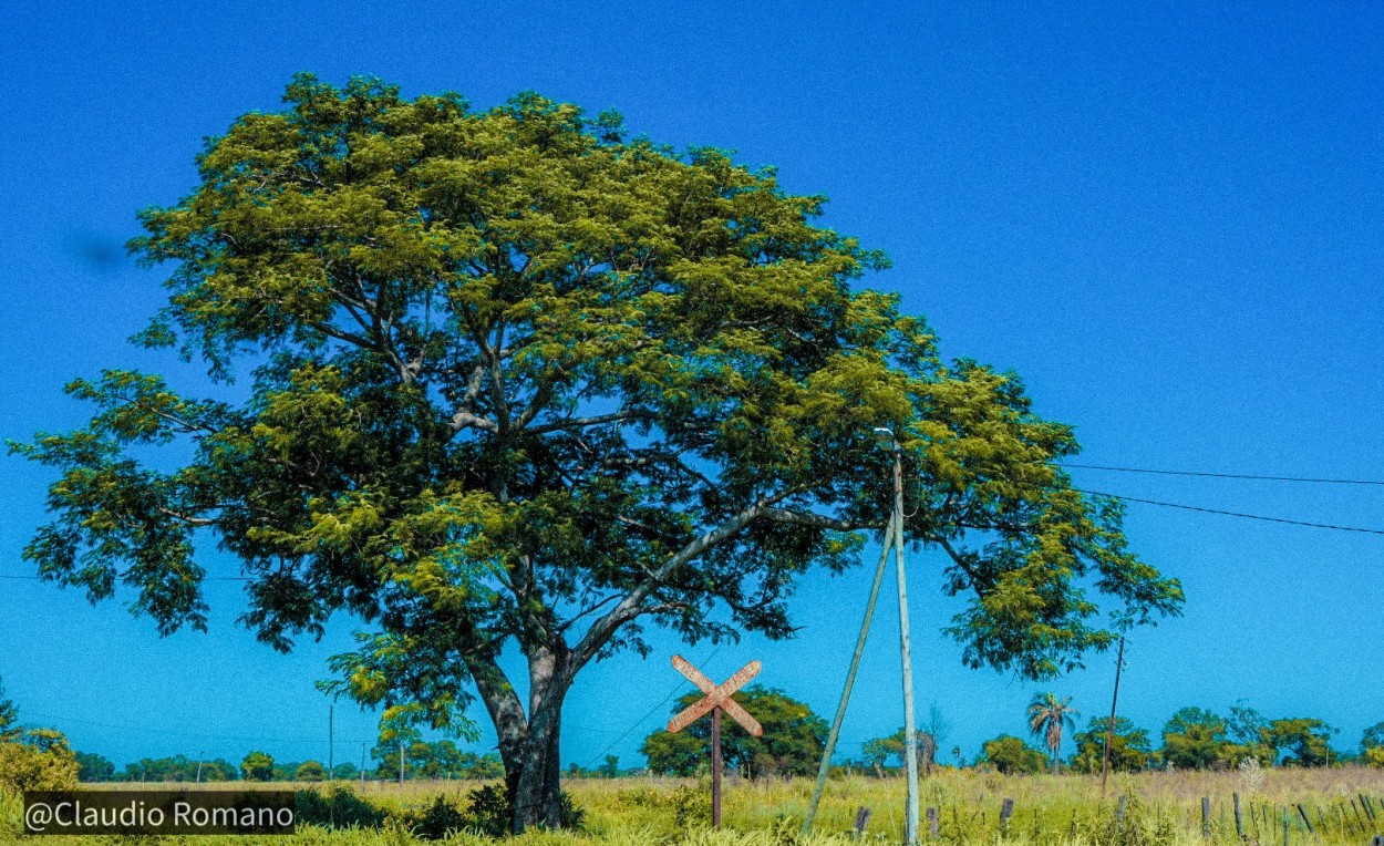 "Viejos caminos." de Claudio Romano