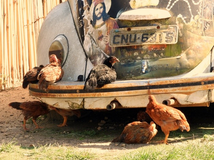 "CNU 6315 ou uma cena buclica no campo......" de Decio Badari