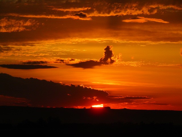 "Sale el sol" de Miguel Angel Palermo