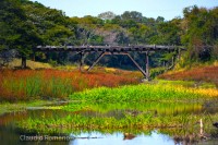 El viejo puente.