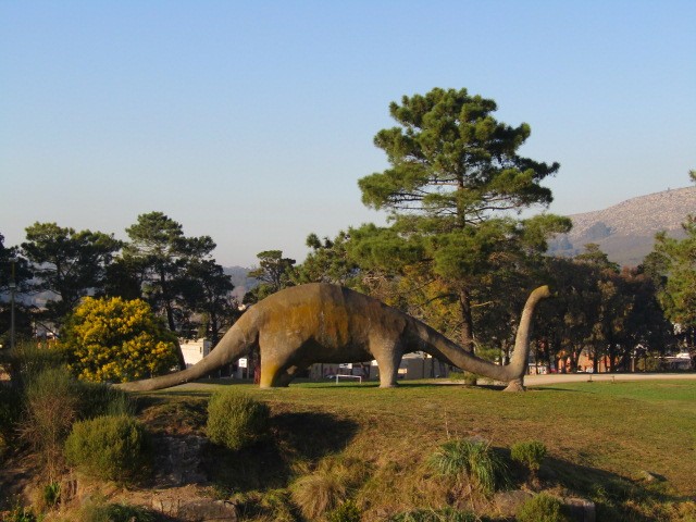 "Gliptodonte " de Miguel Angel Palermo